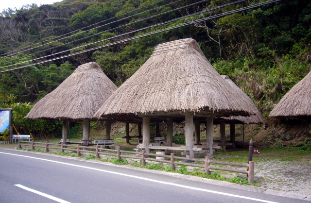 奄美大島