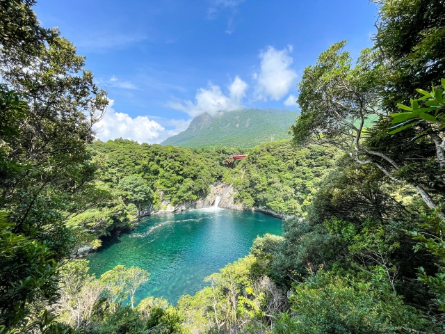 屋久島
