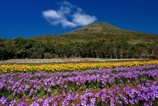 八丈島