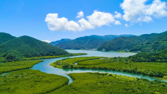 奄美大島