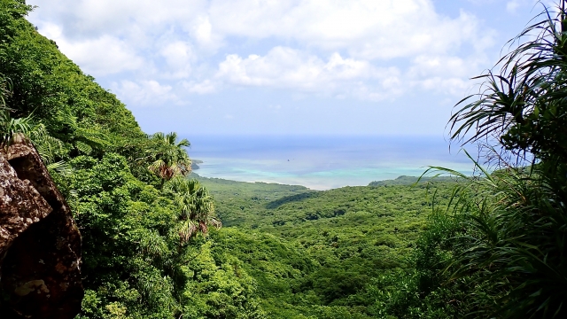 西表島