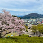 鯖江市