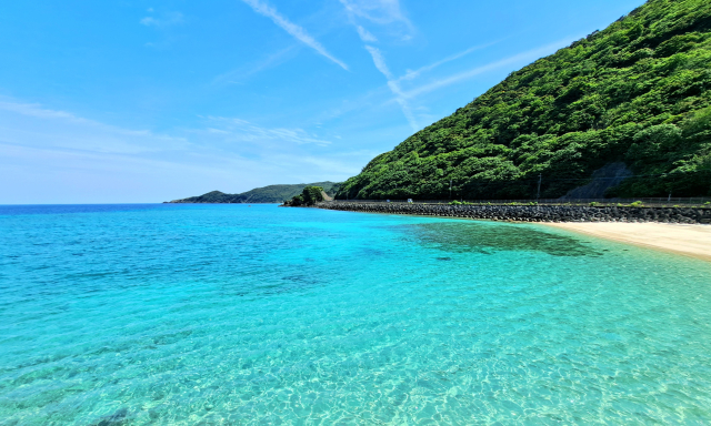 奄美大島