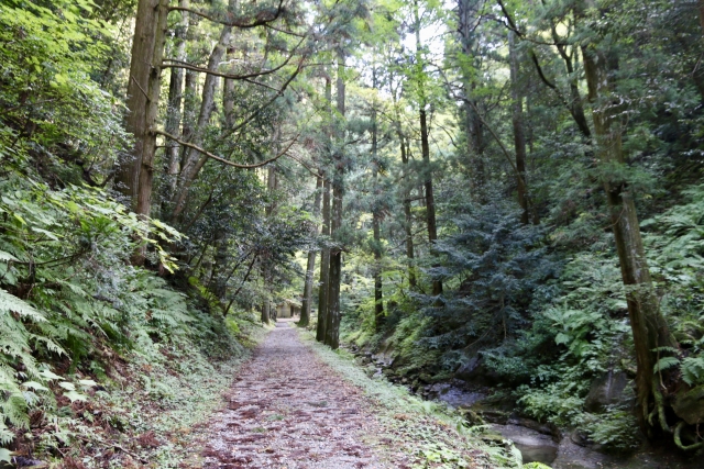 隠岐