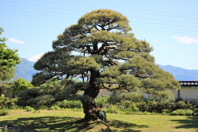 造園