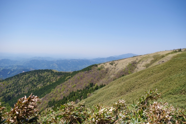 西粟倉村