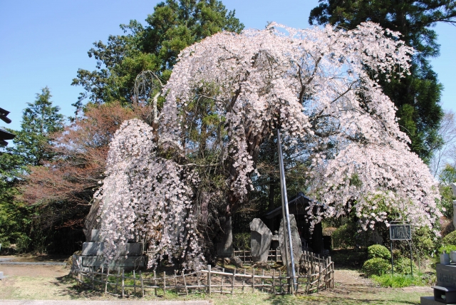 御代田