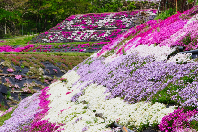 西粟倉村