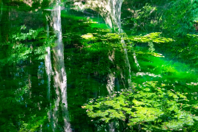 御代田