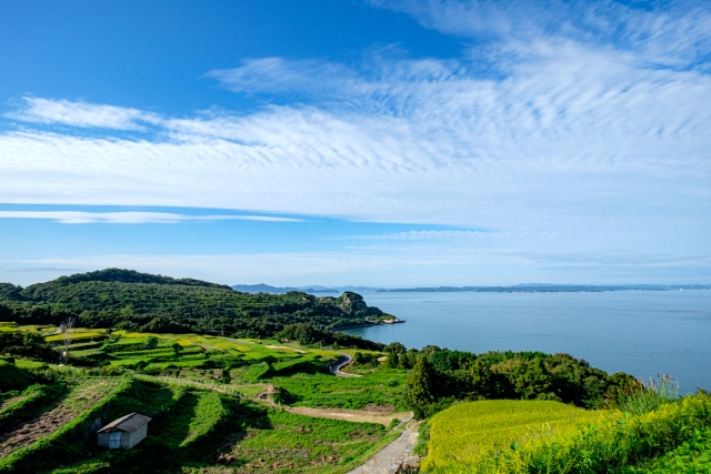 豊島