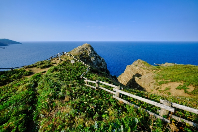 礼文島