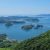 伊豆大島