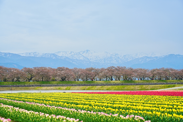 富山